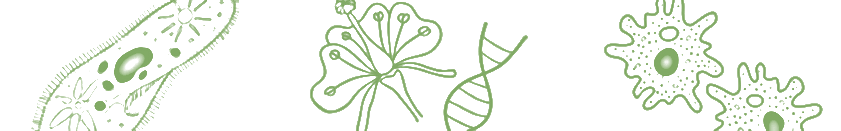 biologie101