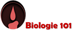 cours de biologie