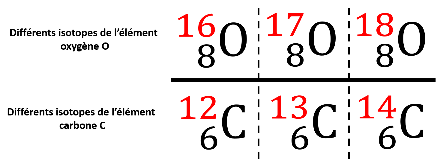 Les isotopes de l'élément carbone et de l'élément oxygène
