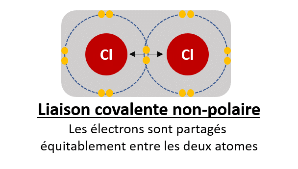 La liaison covalente non-polaire La liaison covalente non polaire avec répartition uniforme des charges