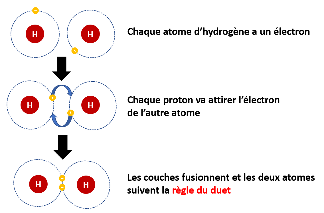 Sur Un Même Schéma Liason Covalente Hydrogène Van Der Walls La liaison chimique - Biologie101